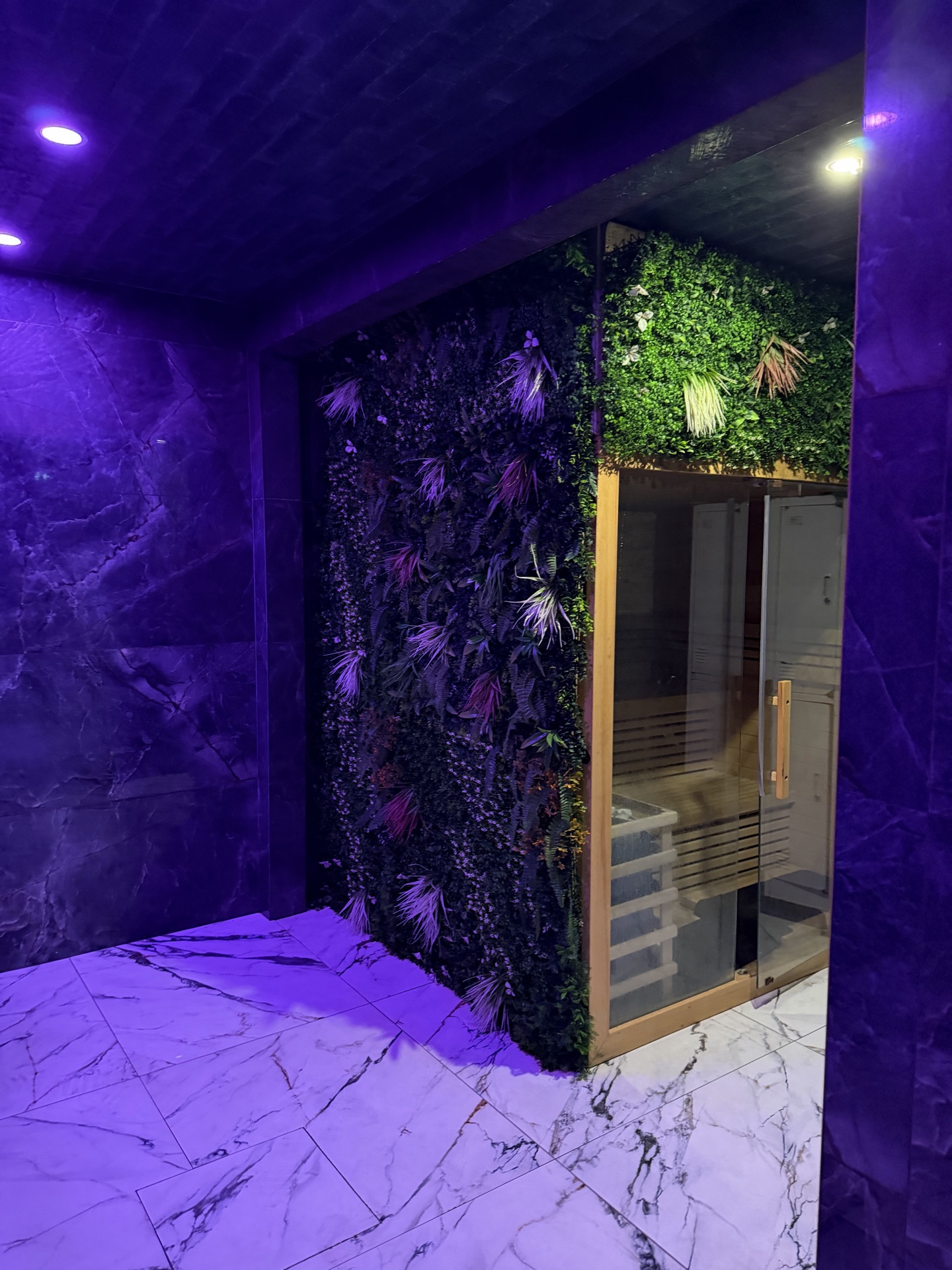 Sauna privatif